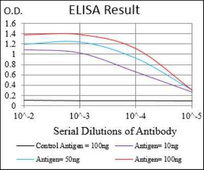 ELISA: Cyclin A2 Antibody (6B4D11) - BSA Free [NBP2-52436]