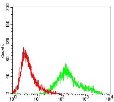Flow Cytometry: Cyclin A2 Antibody (6B4D11) - BSA Free [NBP2-52436]
