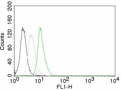 Flow Cytometry: Cyclin D1 Antibody (CCND1/809) - Azide and BSA Free [NBP2-47921]