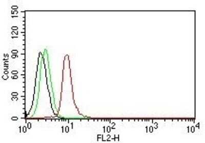 Flow Cytometry: Cyclin D1 Antibody (DCS-6) [NBP2-15189]