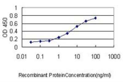 ELISA: Cyclophilin A Antibody (1F4-1B5) [H00005478-M01]