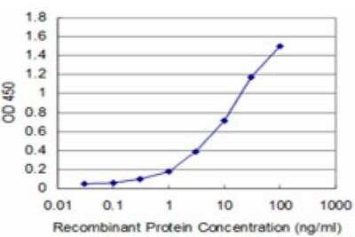 ELISA: Cystathionase Antibody (S51) [H00001491-M03]