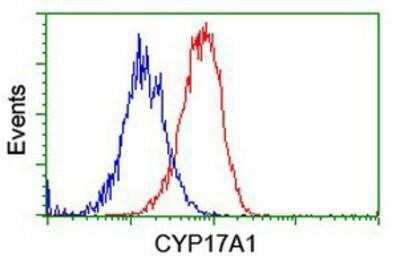 Flow Cytometry: Cytochrome P450 17A1 Antibody (OTI3F11) - Azide and BSA Free [NBP2-70544]