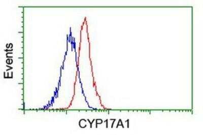 Flow Cytometry: Cytochrome P450 17A1 Antibody (OTI3F11) - Azide and BSA Free [NBP2-70544]