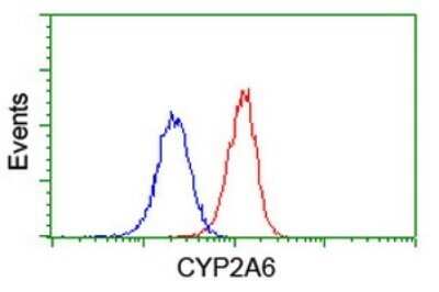 Flow Cytometry: Cytochrome P450 2A6 Antibody (OTI1D2) - Azide and BSA Free [NBP2-70524]