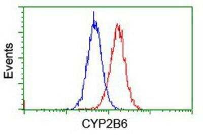 Flow Cytometry: Cytochrome P450 2B6 Antibody (OTI3D5) [NBP2-01800]
