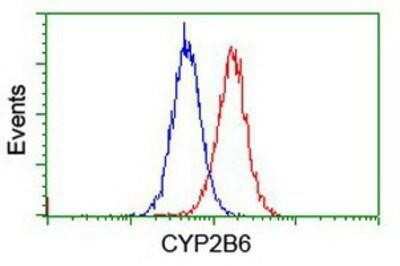 Flow Cytometry: Cytochrome P450 2B6 Antibody (OTI3D5) - Azide and BSA Free [NBP2-70526]