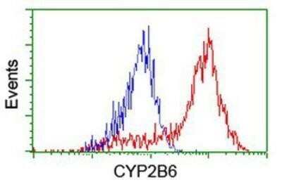 Flow Cytometry: Cytochrome P450 2B6 Antibody (OTI3D5) - Azide and BSA Free [NBP2-70526]