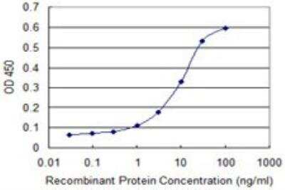 ELISA: Cytoglobin Antibody (1A1) [H00114757-M02]
