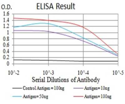 ELISA: Cytokeratin 10 Antibody (1C3D9) - BSA Free [NBP2-61737]