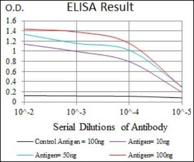 ELISA: Cytokeratin 13 Antibody (3G4) - BSA Free [NBP2-37468]