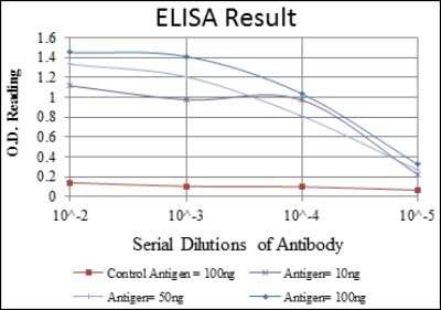ELISA: Cytokeratin 19 Antibody (4E8) - Azide and BSA Free [NBP2-80689]