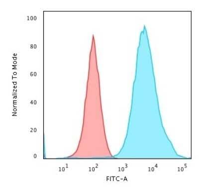 Flow Cytometry: Cytokeratin 19 Antibody (SPM266) [NBP2-34357]