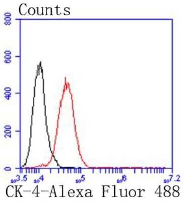 Flow Cytometry: Cytokeratin 4 Antibody (SN74-03) [NBP2-67706]