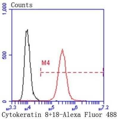Flow Cytometry: Cytokeratin 8 Antibody (SU0338) [NBP2-67468]