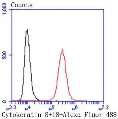 Flow Cytometry: Cytokeratin 8 Antibody (SU0338) [NBP2-67468]