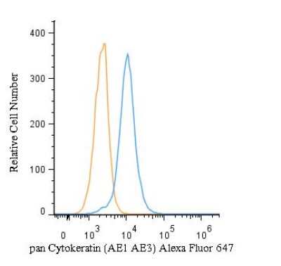 Flow Cytometry of HeLa Cells Stained with Alexa Fluor 647 Conjugated Cytokeratin, pan Antibody