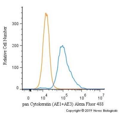 Flow Cytometry of HeLa Cells Stained with Alexa Fluor 488 Conjugated Cytokeratin, pan Antibody