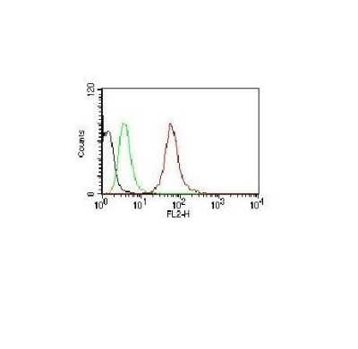 Flow Cytometry of HeLa Cells Stained with PE Conjugated Cytokeratin, pan Antibody