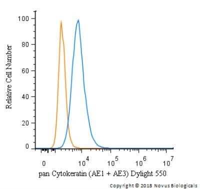 Flow Cytometry of HeLa Cells Stained with Conjugated Cytokeratin, pan Antibody