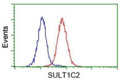 Flow Cytometry: Cytosolic Sulfotransferase 1C2/SULT1C2 Antibody (OTI4G1) - Azide and BSA Free [NBP2-71313]