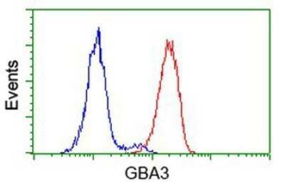 Flow Cytometry: Cytosolic beta-Glucosidase/GBA3 Antibody (OTI1F1) - Azide and BSA Free [NBP2-72100]