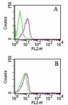 Flow Cytometry: D4-GDI/RhoGDI2 Antibody (10D774) [NB100-56556]
