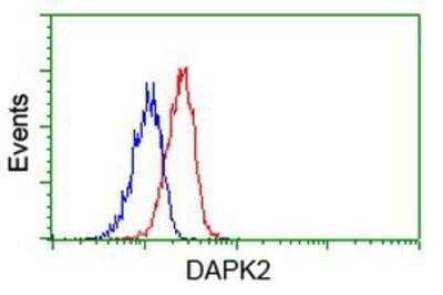 Flow Cytometry: DAP Kinase 2 Antibody (OTI1C5) [NBP2-02477]