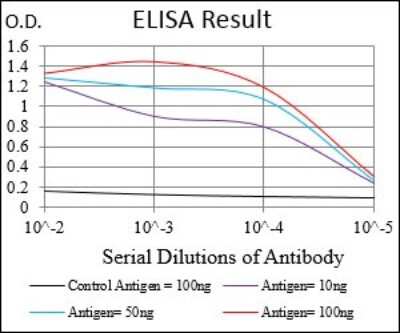 ELISA: DARPP-32 Antibody (2A4G9) - BSA Free [NBP2-37302]