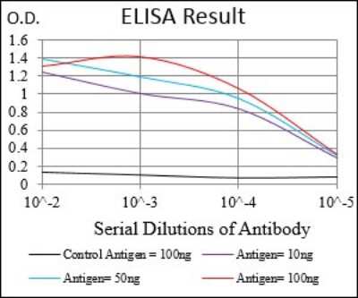 ELISA: DARPP-32 Antibody (2G6D9) - BSA Free [NBP2-37288]