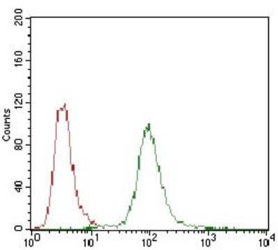 Flow Cytometry: DARPP-32 Antibody (2G6D9) - BSA Free [NBP2-37288]