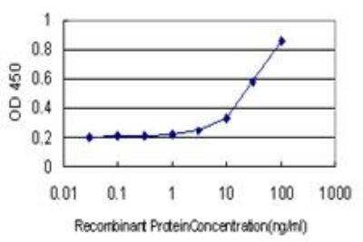 ELISA: DAX1/NR0B1 Antibody (2F12) [H00000190-M02]