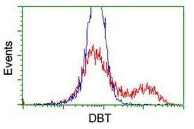 Flow Cytometry: DBT Antibody (OTI1G2) - Azide and BSA Free [NBP2-70553]