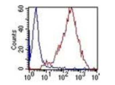 Flow Cytometry: DC-SIGN/CD209 Antibody (102E11.06) [DDX0202P-100]