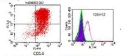 Flow Cytometry: DC-SIGN/CD209 Antibody (109H12.03) [DDX0207]