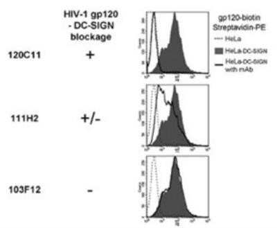 Flow Cytometry: DC-SIGN/CD209 Antibody (111H2.02) [DDX0209]