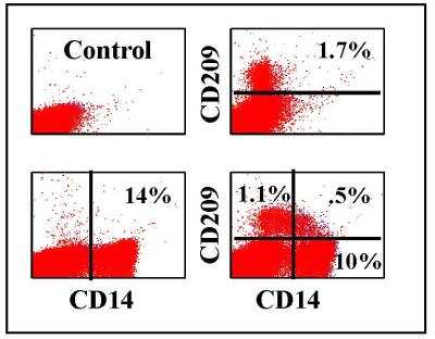 Flow Cytometry: DC-SIGN/CD209 Antibody (209MD26A) [NBP2-60971]