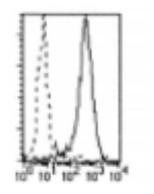 Flow Cytometry: DCIR/CLEC4A Antibody (111F8.04) [DDX0180P-100]