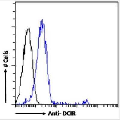 Flow Cytometry: DCIR/CLEC4A Antibody (9E8) - Chimeric - Azide and BSA Free [NBP3-09023]