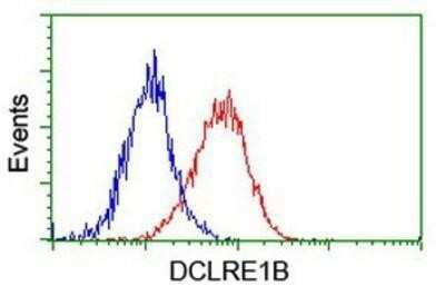 Flow Cytometry: DCLRE1B Antibody (OTI2B7) - Azide and BSA Free [NBP2-72152]
