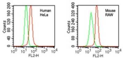 Flow Cytometry: DDB1 Antibody [NBP2-27207]