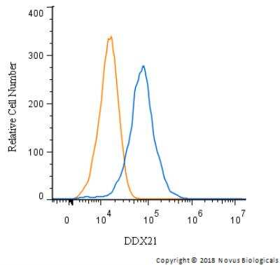Flow Cytometry: DDX21 Antibody - BSA Free [NB100-1718]