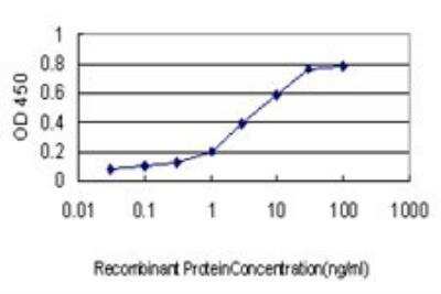 ELISA: DDX41 Antibody (2F4) [H00051428-M01]