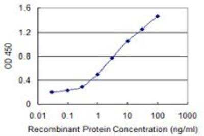 ELISA: DDX54 Antibody (2H6) [H00079039-M01]