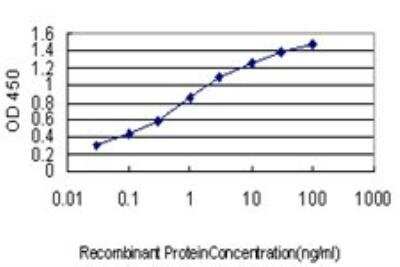 ELISA: DEC1 Antibody (5B1) [H00008553-M01]