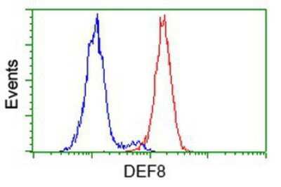 Flow Cytometry: DEF8 Antibody (OTI4B6) [NBP2-00574]