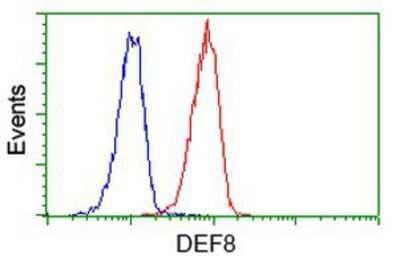 Flow Cytometry: DEF8 Antibody (OTI4B6) [NBP2-00574]