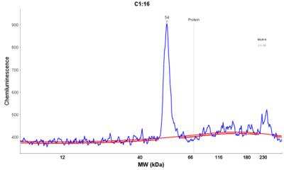Simple Western: DENN/MADD Domain Containing 2D Antibody [NBP2-30995]