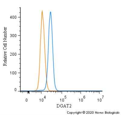 Flow (Intracellular): DGAT2 Antibody - BSA Free [NBP3-05769]