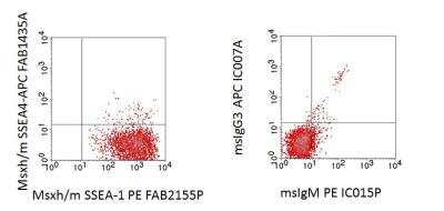 Flow Cytometry: DGCR8 knockout Mouse embryonic stem cells [NBA1-19349]